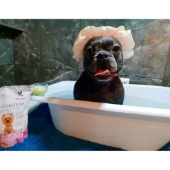Ryan's Pet Supplies Warren London Cleopatra's Doggy Milk Bath 32 oz