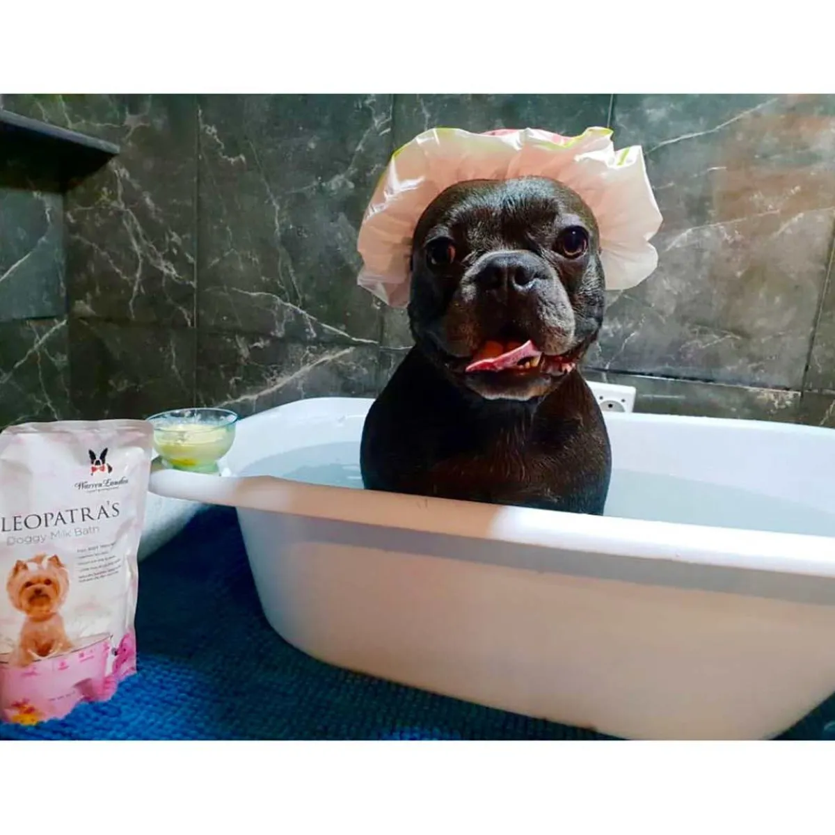 Ryan's Pet Supplies Warren London Cleopatra's Doggy Milk Bath 32 oz