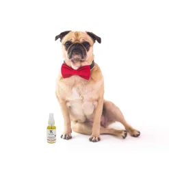 Ryan's Pet Supplies Warren London Grapeseed Oil Paw Revitalizer