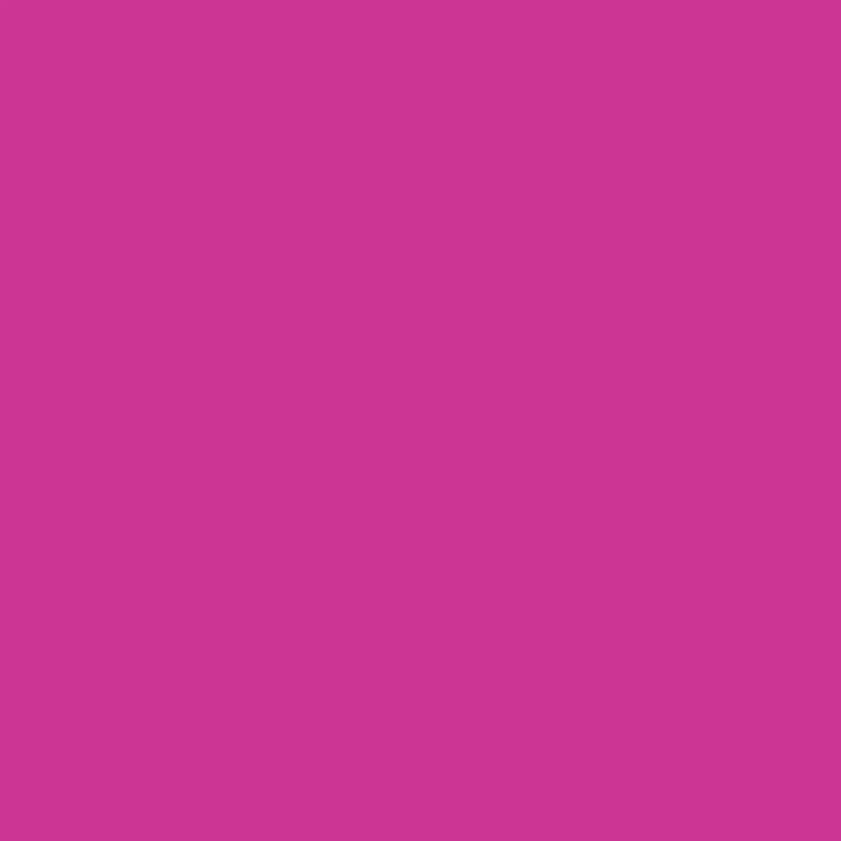 Ryan's Pet Supplies 100 Yards of Plain Ribbon for Dogs