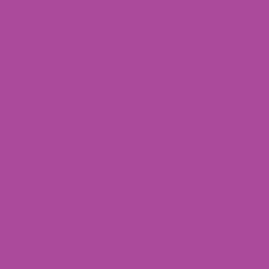 Ryan's Pet Supplies 100 Yards of Plain Ribbon for Dogs
