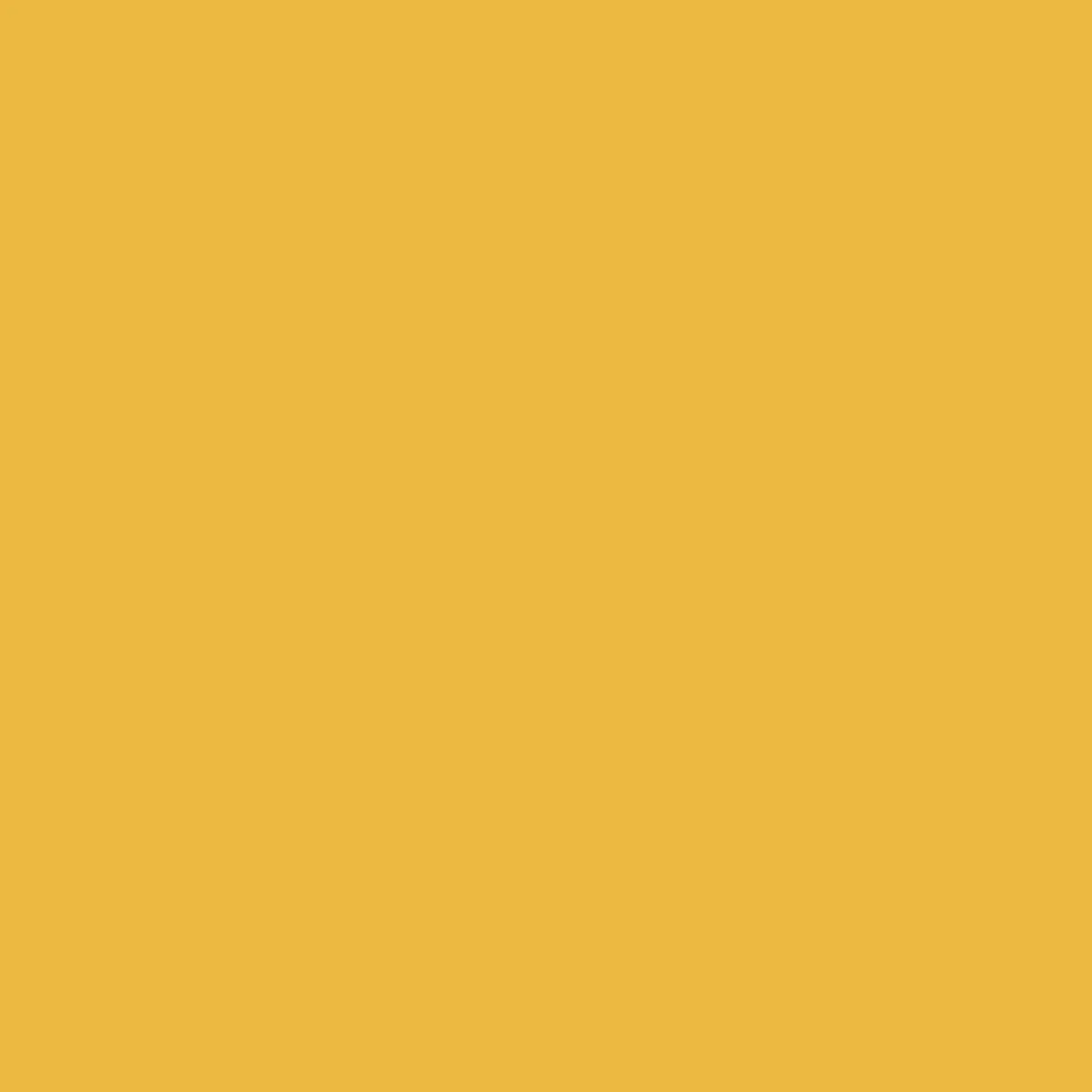 Ryan's Pet Supplies 100 Yards of Plain Ribbon for Dogs