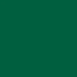 Ryan's Pet Supplies 100 Yards of Plain Ribbon for Dogs