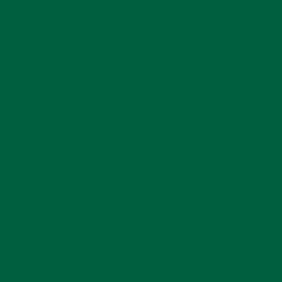 Ryan's Pet Supplies 100 Yards of Plain Ribbon for Dogs