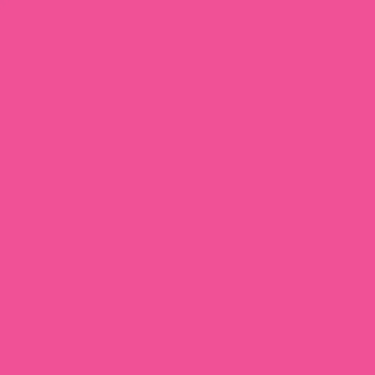 Ryan's Pet Supplies 100 Yards of Plain Ribbon for Dogs