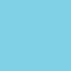 Ryan's Pet Supplies 100 Yards of Plain Ribbon for Dogs