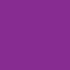 Ryan's Pet Supplies 100 Yards of Plain Ribbon for Dogs