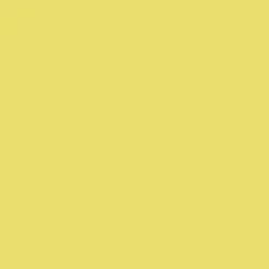 Ryan's Pet Supplies 100 Yards of Plain Ribbon for Dogs