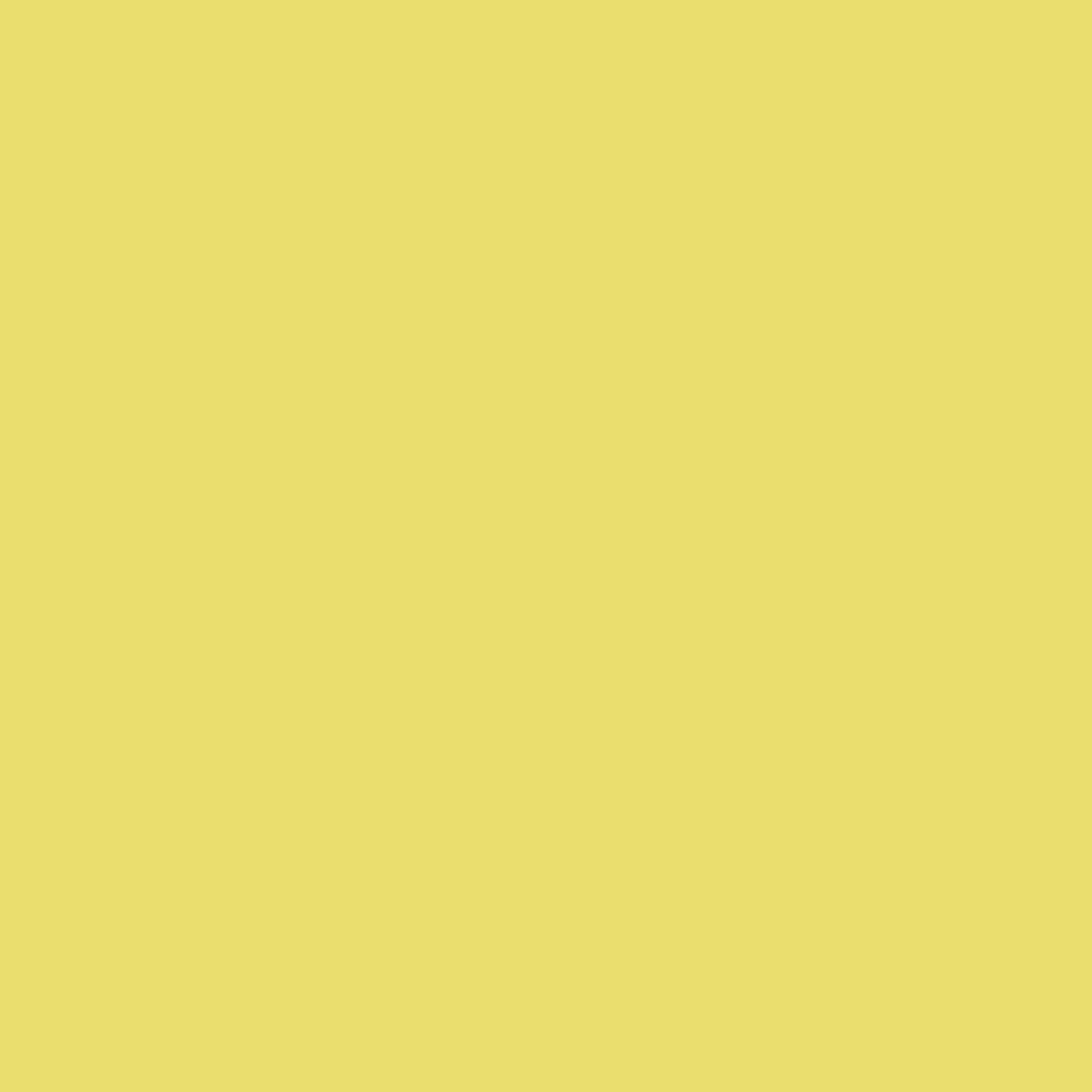 Ryan's Pet Supplies 100 Yards of Plain Ribbon for Dogs