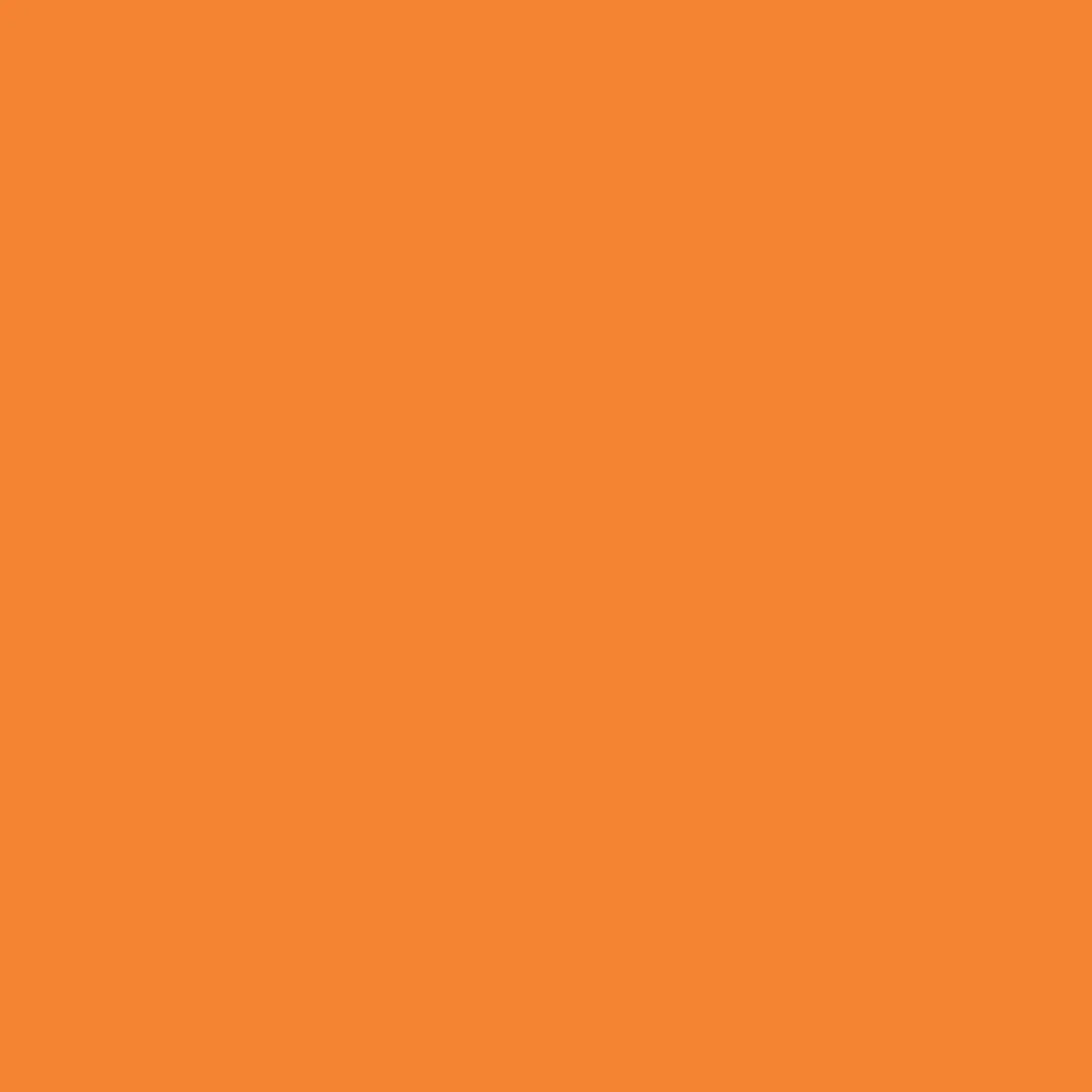 Ryan's Pet Supplies 100 Yards of Plain Ribbon for Dogs