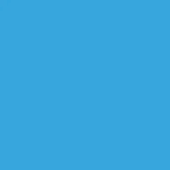 Ryan's Pet Supplies 100 Yards of Plain Ribbon for Dogs