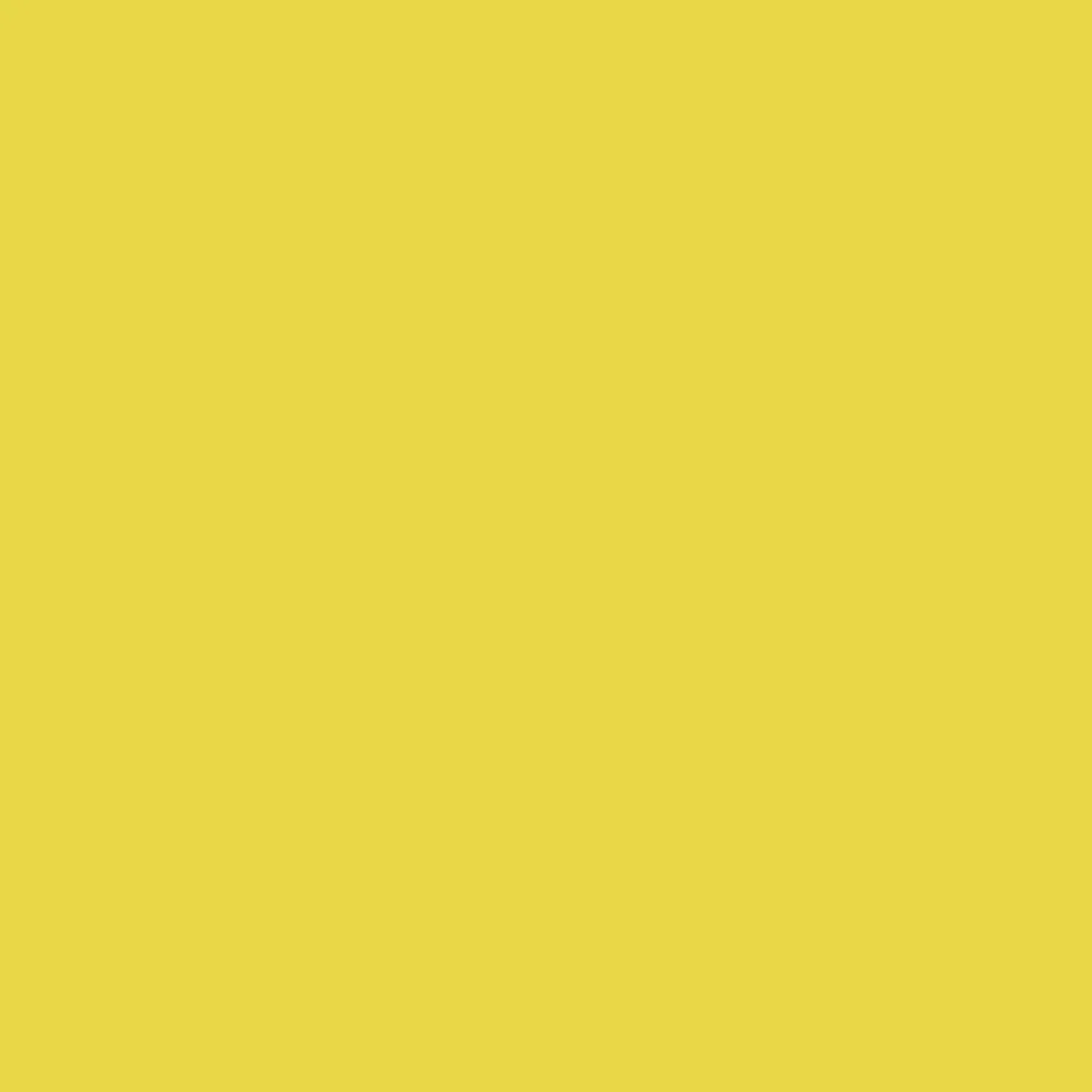 Ryan's Pet Supplies 100 Yards of Plain Ribbon for Dogs