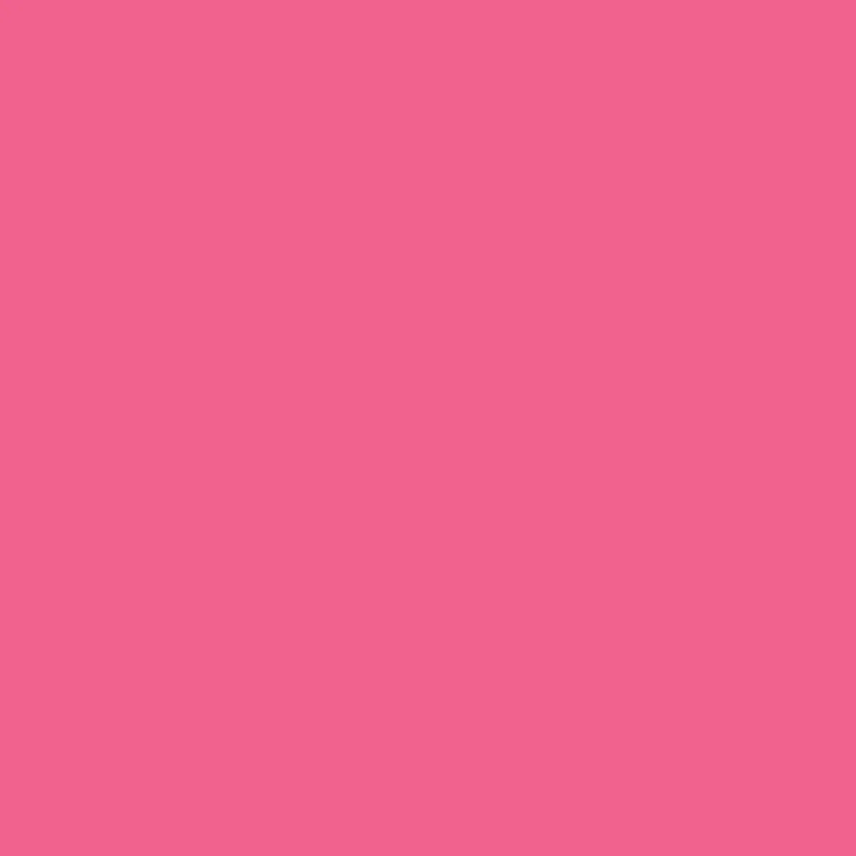 Ryan's Pet Supplies 100 Yards of Plain Ribbon for Dogs