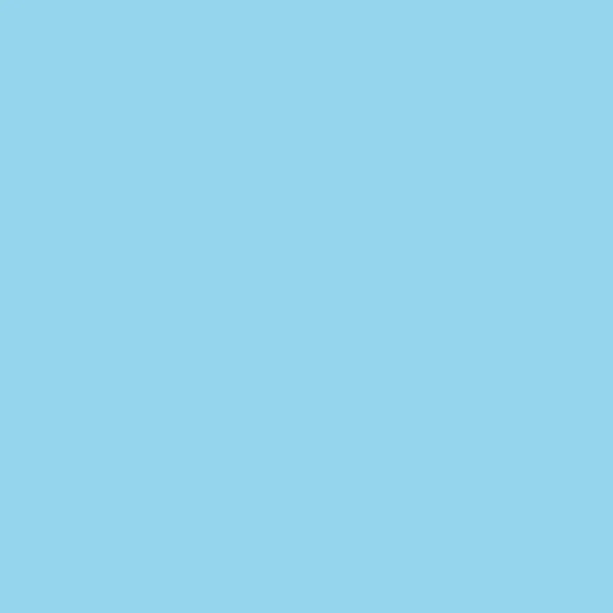 Ryan's Pet Supplies 100 Yards of Plain Ribbon for Dogs