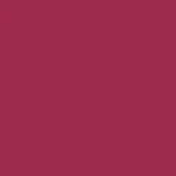 Ryan's Pet Supplies 100 Yards of Plain Ribbon for Dogs